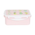 lunch-box-kaktusy