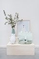 Trixie_91_202_06