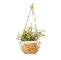 XDC379_C_Mini_Rose_Planter_Lifestyle