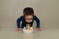 pol_pl_Little-Dutch-Torcik-urodzinowy-Blekit-FSC-LD8016-3993_3.jpg