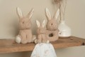 pol_pl_Little-Dutch-Zestaw-prezentowy-Baby-bunny-LD8859-3747_3.jpg