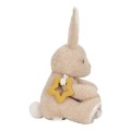 pol_pl_Little-Dutch-Kroliczek-aktywizujacy-Newborn-Naturals-5338_5.jpg
