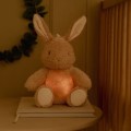 pol_pl_Little-Dutch-Krolik-interaktywny-Newborn-Naturals-5335_6.jpg