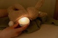 pol_pl_Little-Dutch-Krolik-interaktywny-Newborn-Naturals-5335_13.jpg