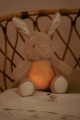 pol_pl_Little-Dutch-Krolik-interaktywny-Newborn-Naturals-5335_1.jpg