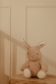pol_pl_Little-Dutch-Krolik-interaktywny-Newborn-Naturals-5335_7 (1).jpg