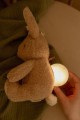 pol_pl_Little-Dutch-Krolik-interaktywny-Newborn-Naturals-5335_14.jpg