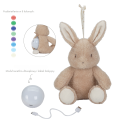 pol_pl_Little-Dutch-Krolik-interaktywny-Newborn-Naturals-5335_15.png