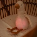 pol_pl_Little-Dutch-Gaska-interaktywna-Newborn-Naturals-5336_12.jpg
