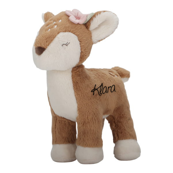 Klara (1).png