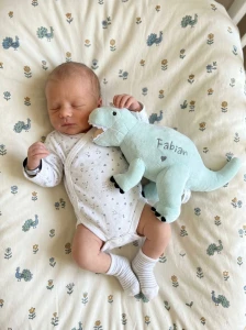 Miętowy Dinozaur pluszowy- Tyrannosaurus Rex- Melootka- Rozmiar M