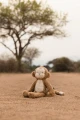 pol_pl_Little-Dutch-Przytulanka-Malpka-Safari-Friends-GRS-6040_13.jpg