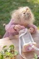 pol_pl_Little-Dutch-Pojemnik-do-obserwacji-owadow-Fairy-Garden-FSC-5839_7.jpg