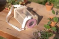 pol_pl_Little-Dutch-Pojemnik-do-obserwacji-owadow-Fairy-Garden-FSC-5839_9.jpg