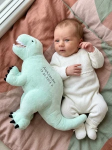 Miętowy Dinozaur pluszowy- Tyrannosaurus Rex- Melootka- Rozmiar L