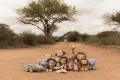 pol_pl_Little-Dutch-Przytulanka-duza-Malpka-Safari-Friends-GRS-6039_19.jpg