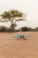 pol_pl_Little-Dutch-Drewniany-krokodyl-do-ciagniecia-Safari-Friends-6209_4.jpg