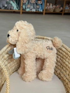 Outlet - Pola - Piesek Maltipoo - Melootka