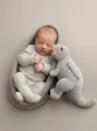 maskotka-z-imieniem-personalizowany-dinozaur-szary-melootka-dino.jpeg